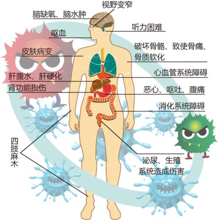 重金属与农药残留超标对人体的危害